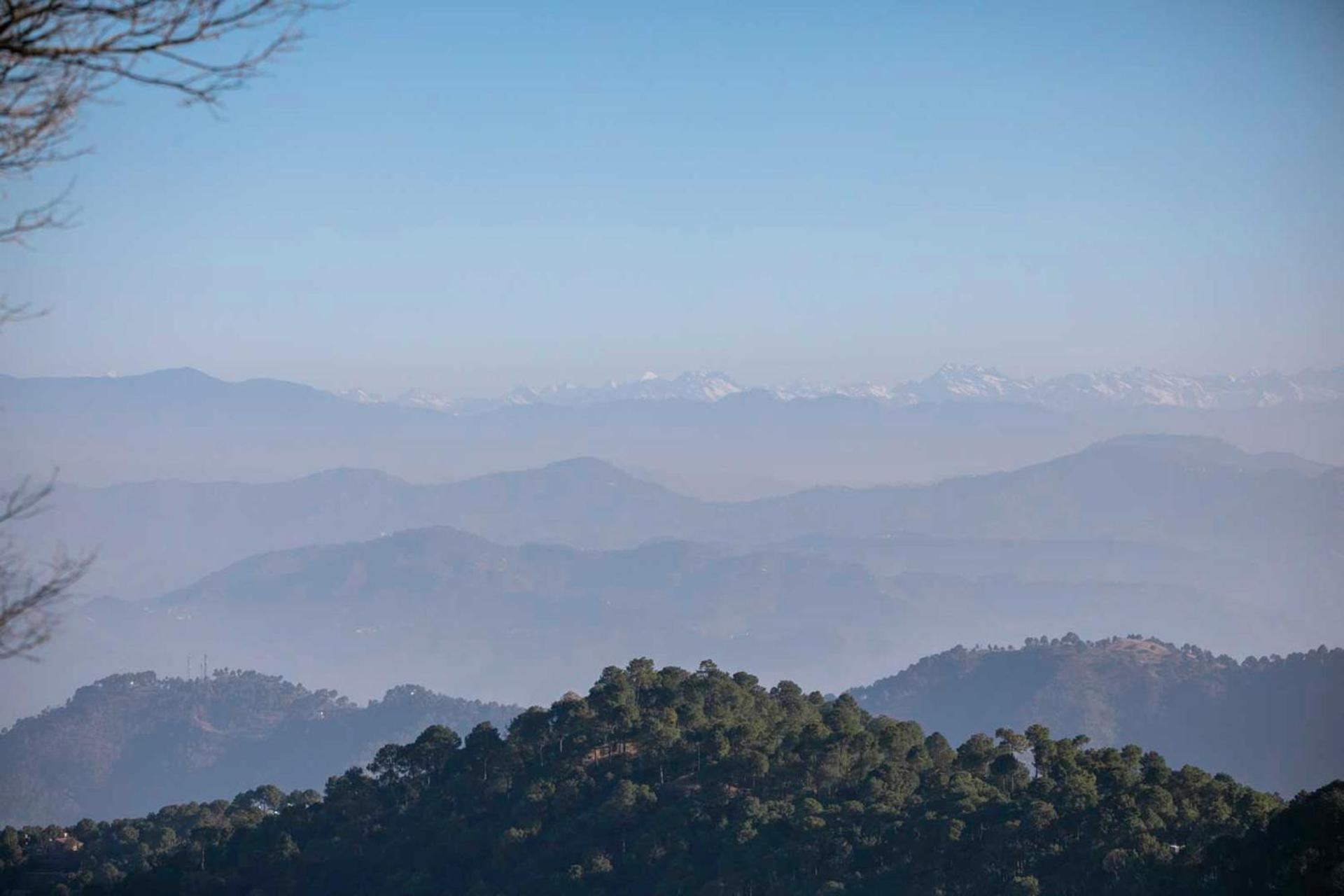 Stayvista At Padam Hill- Pet Friendly Villa With Garden Kasauli Eksteriør bilde